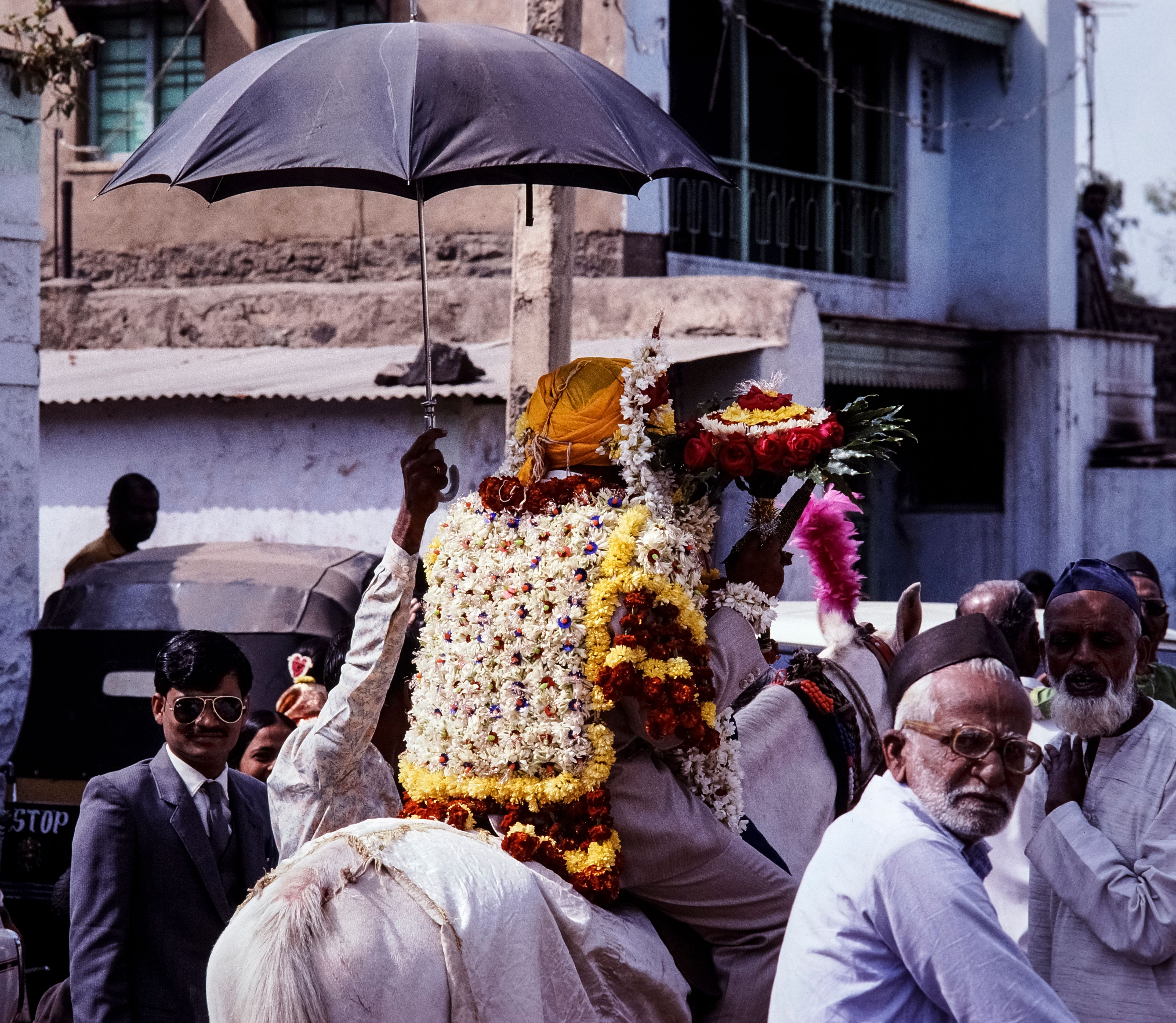 Traditional Indian Wedding Procession with Decorated Horse · Free Stock ...