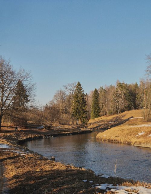 Free A serene river scene with bare trees and a blue sky, capturing early spring tranquility. Stock Photo
