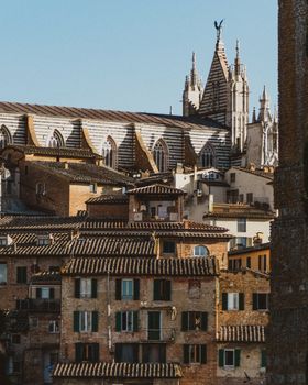 View of Siena Cathedral and rustic rooftops in the golden sunset light.