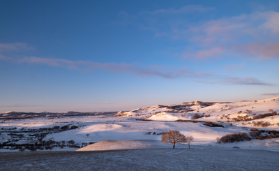 Snowy hills and a lone tree under a vivid sunrise sky. Photo by shuping zhao on Pexels