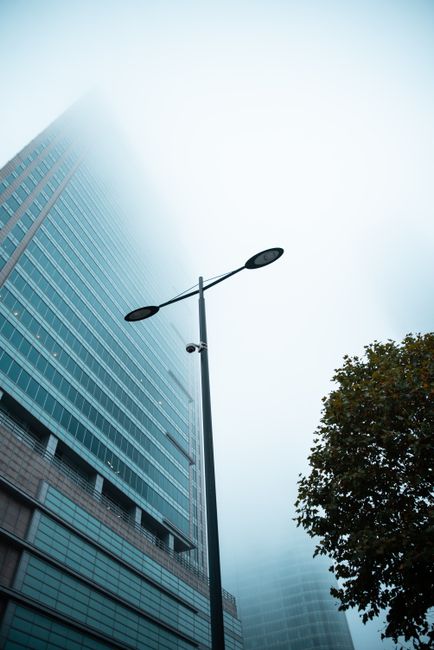 A skyscraper enveloped in dense fog alongside a streetlight and tree, emphasizing urban atmosphere.