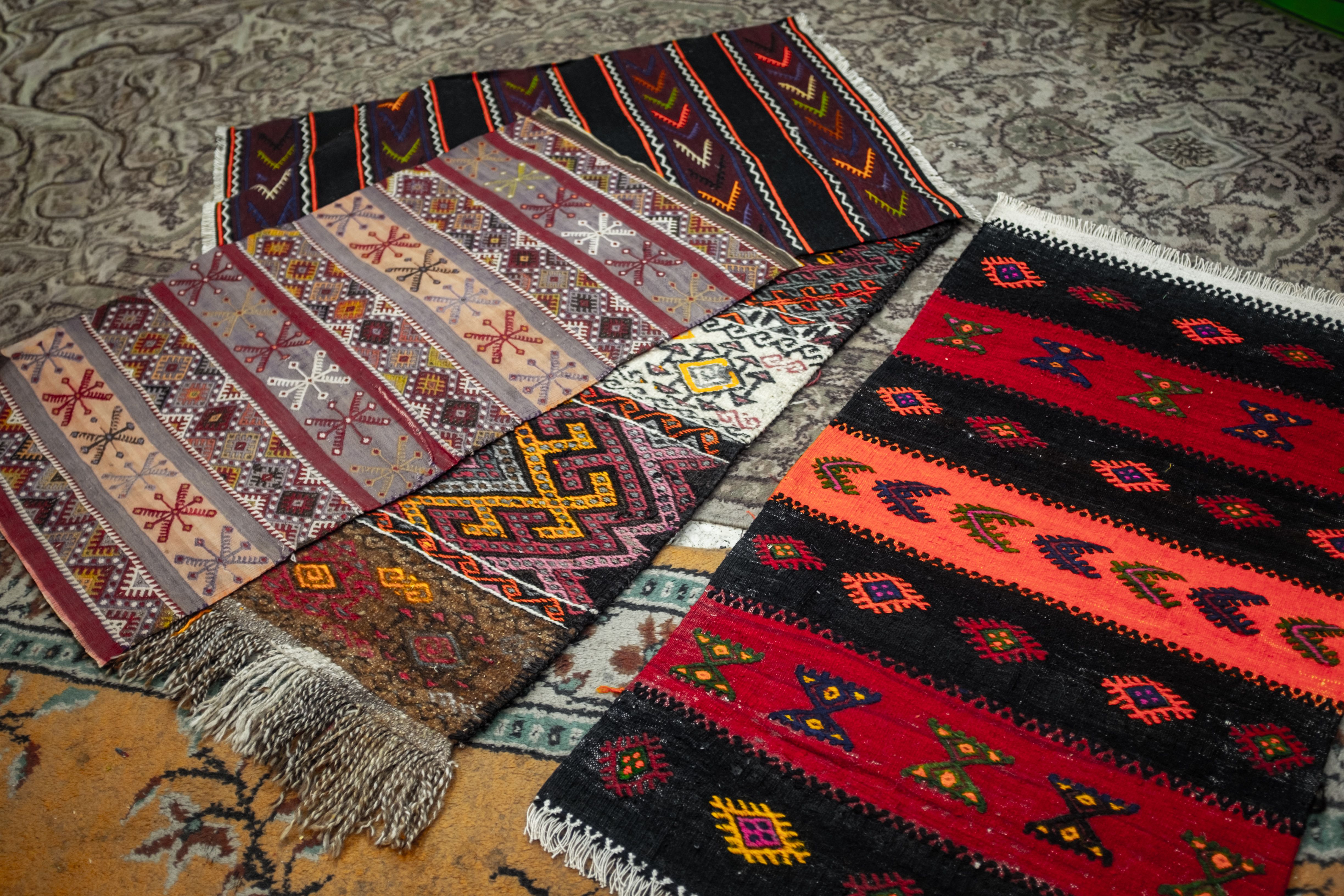 Bohemian vs. Modern vs. Geometric Rugs for Living Rooms: Whi