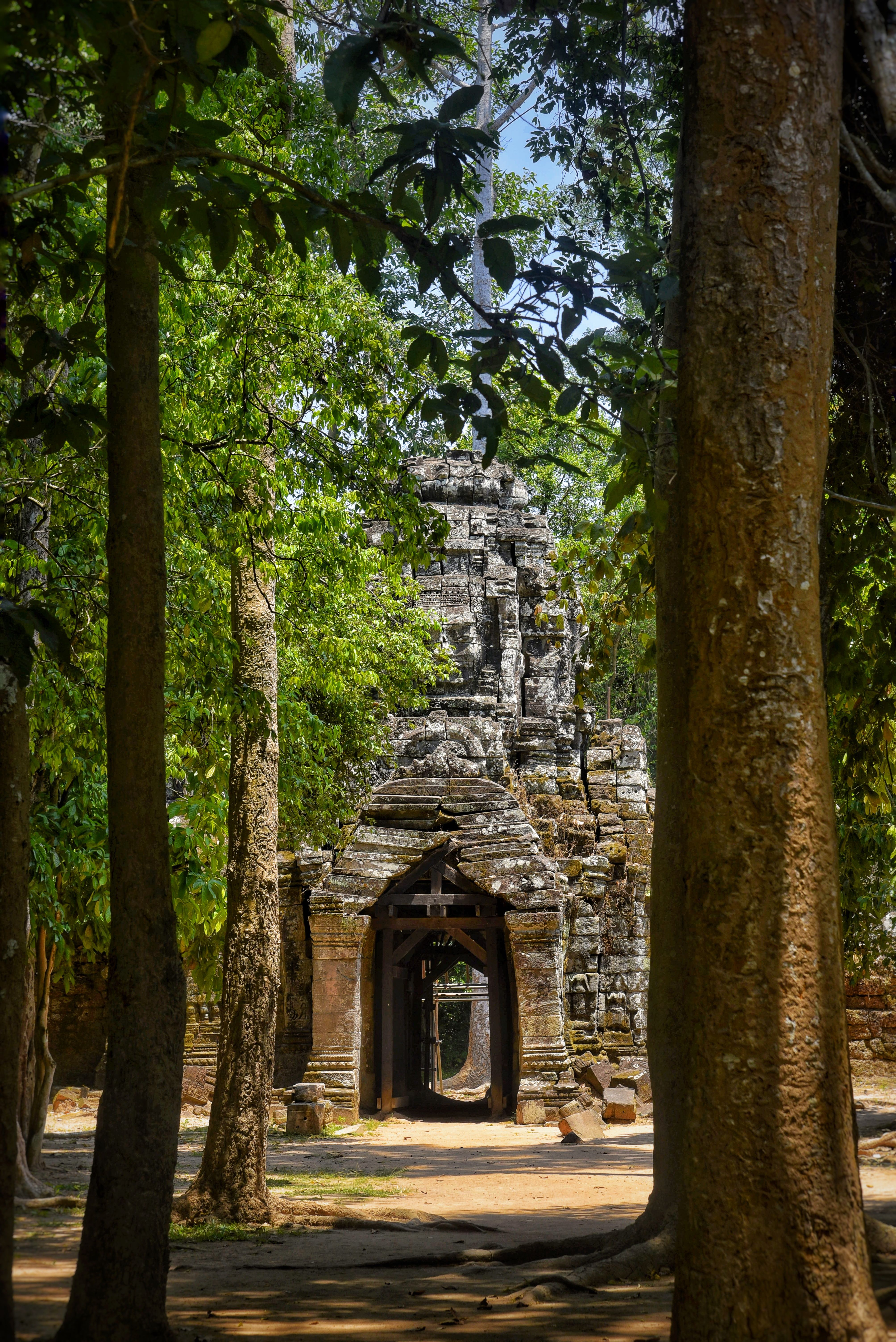 Ancient Stone Gateway in Lush Jungle Setting · Free Stock Photo
