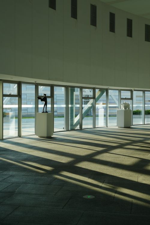 Free Spacious gallery interior with sculptures and large windows casting geometric shadows. Stock Photo
