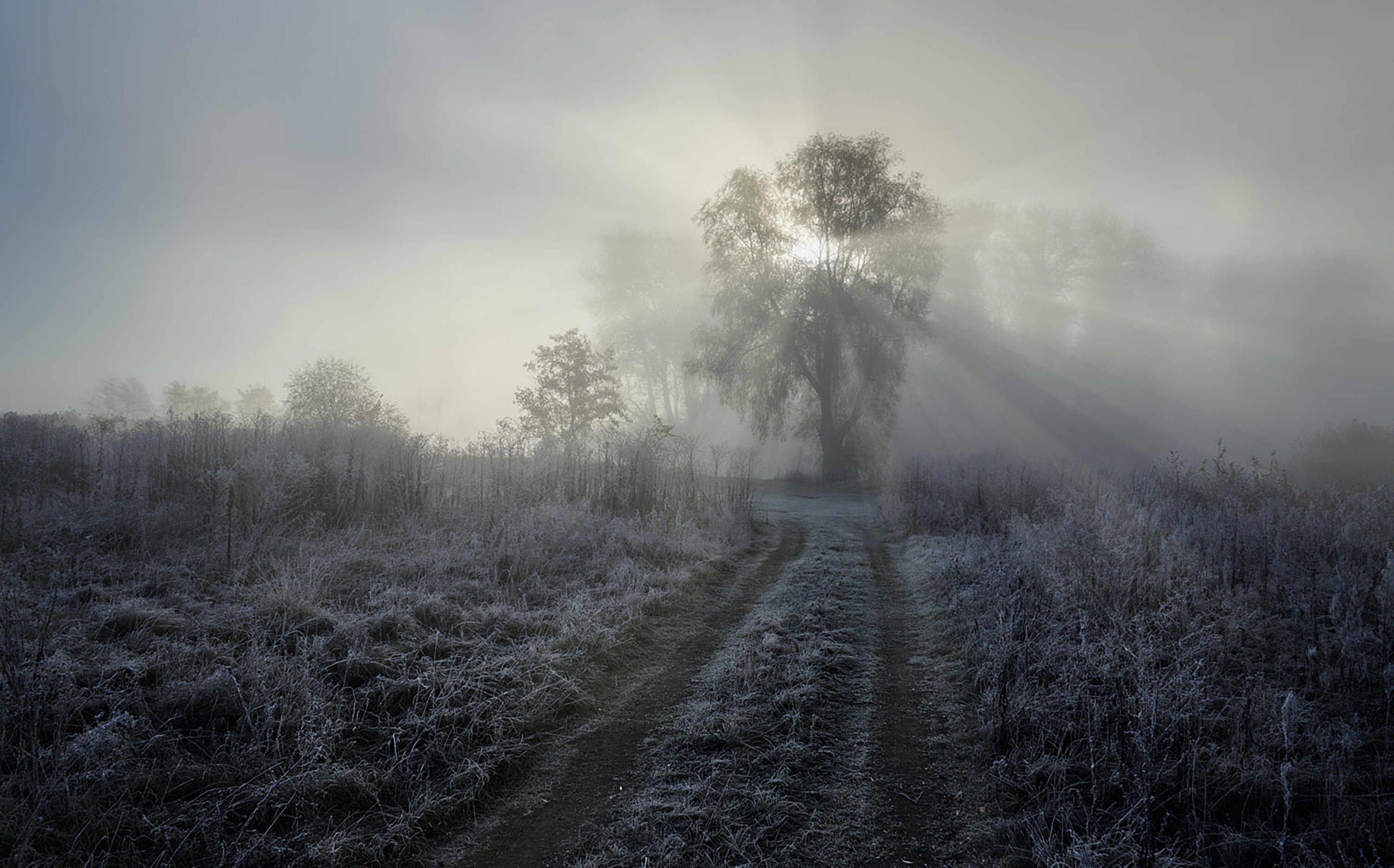 Misty Sunrise with Sun Rays Over Frosted Landscape · Free Stock Photo