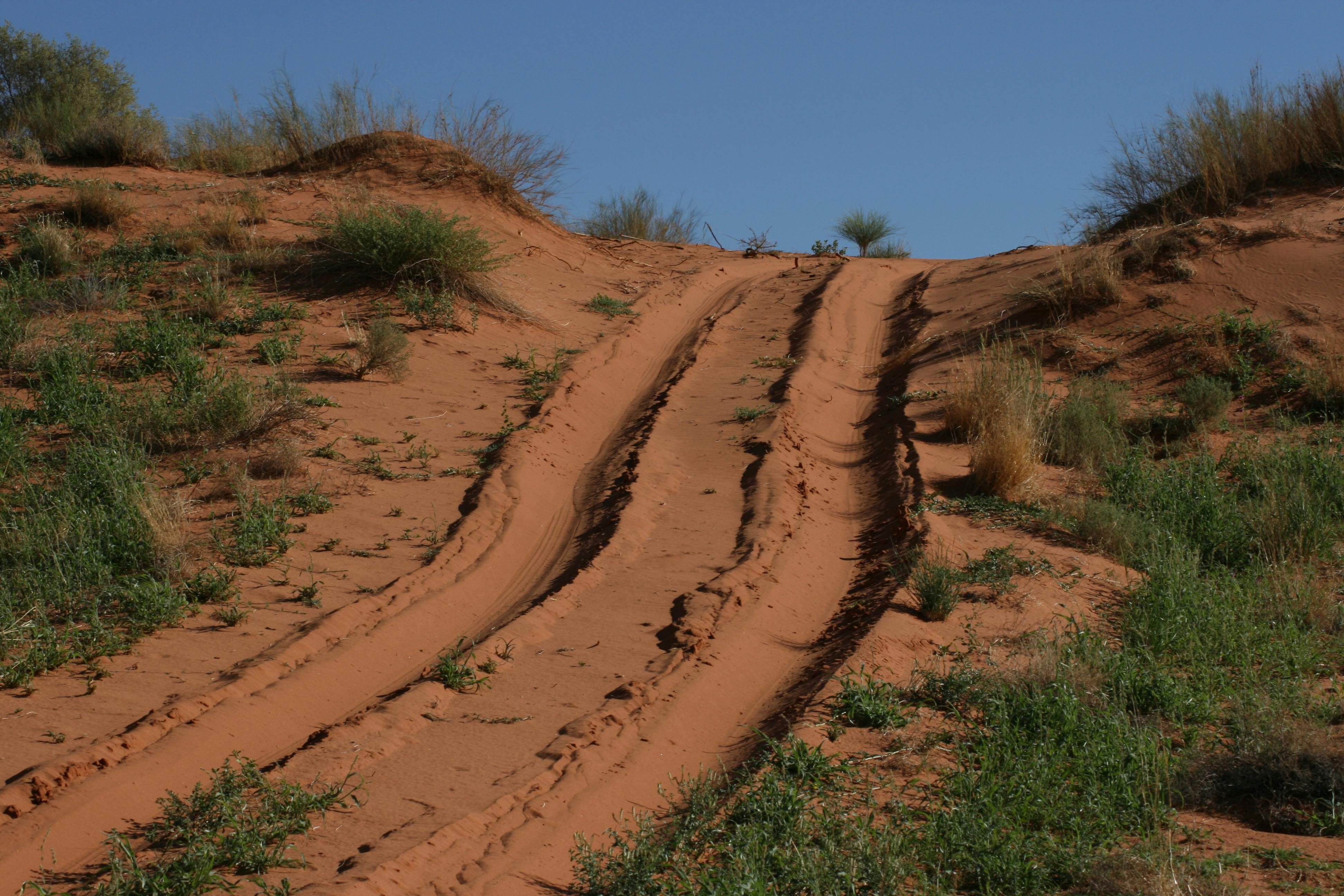 Free stock photo of desert, dirt road, drive