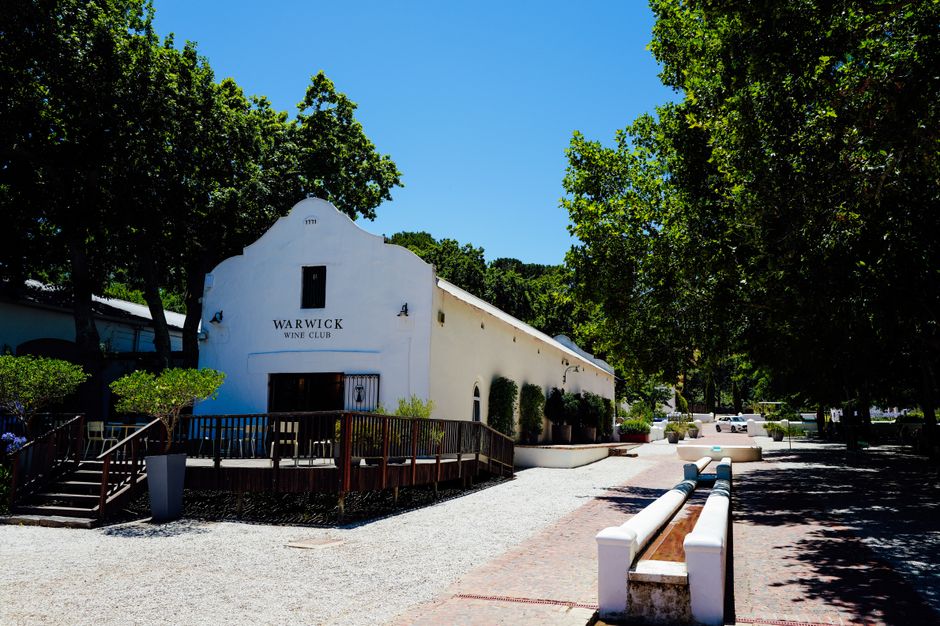 Visite de Vignobles à Constantia Valley
