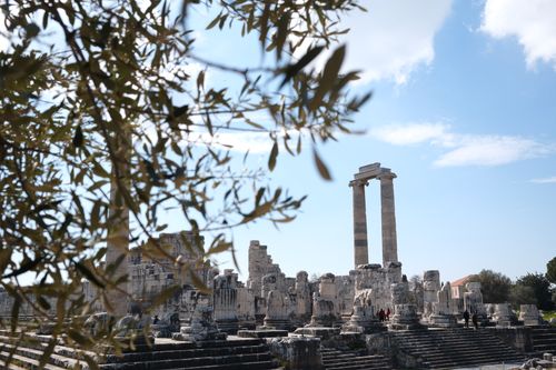 Free Explore the ancient ruins of Priene in Aydın with stunning stone columns under a bright sky. Stock Photo