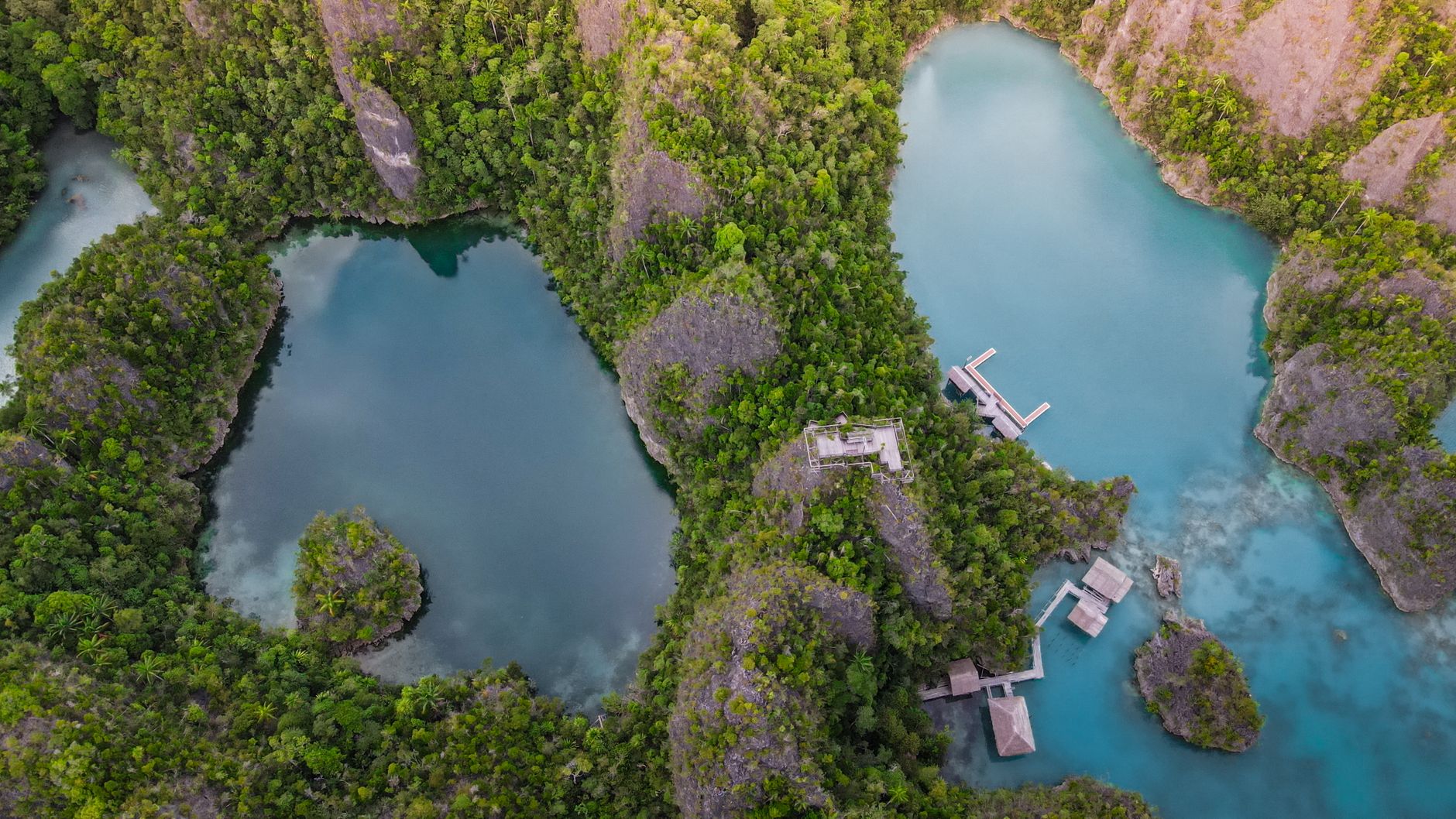 Raja Ampat Trip: Petualangan Menakjubkan di Surga Bawah Laut Papua