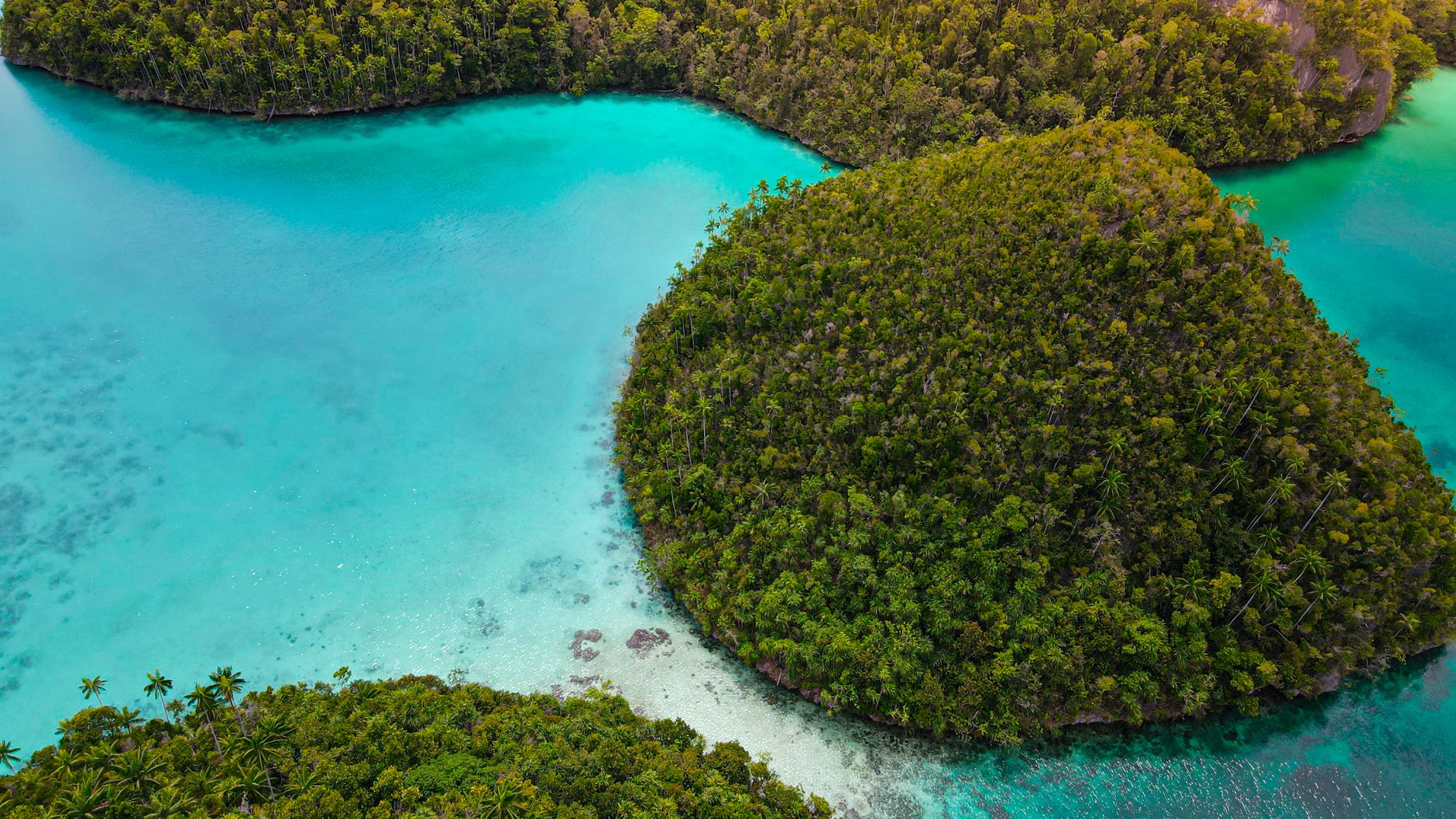 Raja Ampat Papua: Surga Bahari Tersembunyi yang Wajib Masuk Daftar Liburan Anda