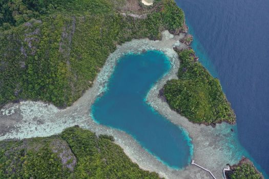 Manta Sandy cleaning station — Raja Ampat