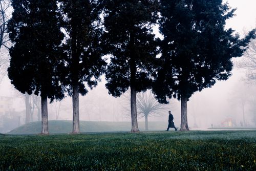 Free Silhouetted man walks through a foggy park with tall trees, creating a serene atmosphere. Stock Photo
