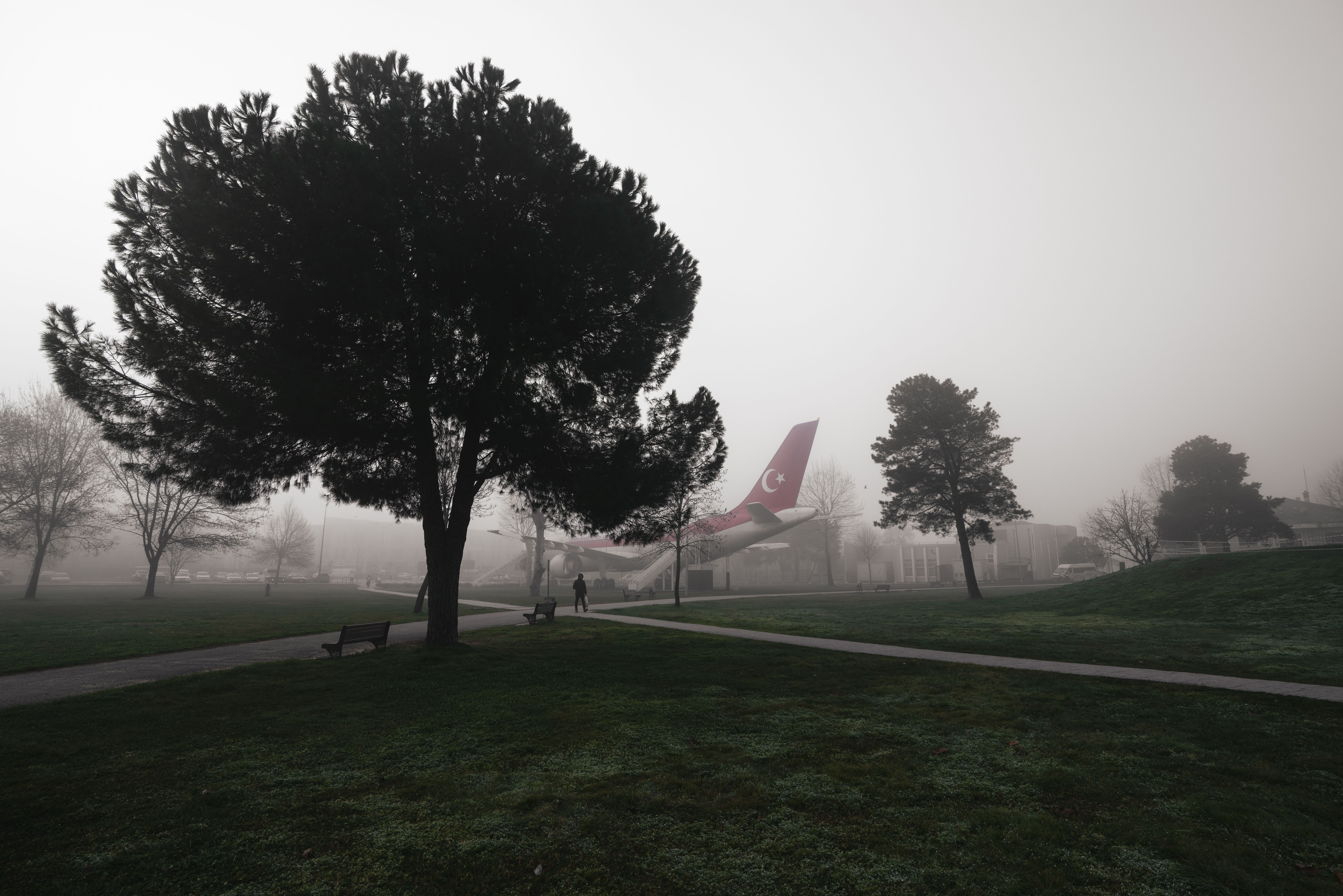 Parco Nebbioso Con La Coda Di Un Aereo In Una Mattinata Nebbiosa ...