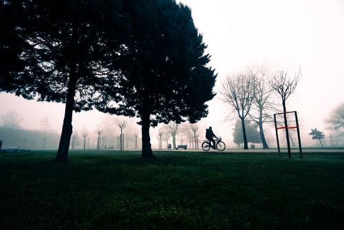 Free A lone cyclist rides through a foggy park surrounded by bare trees at dawn. Stock Photo