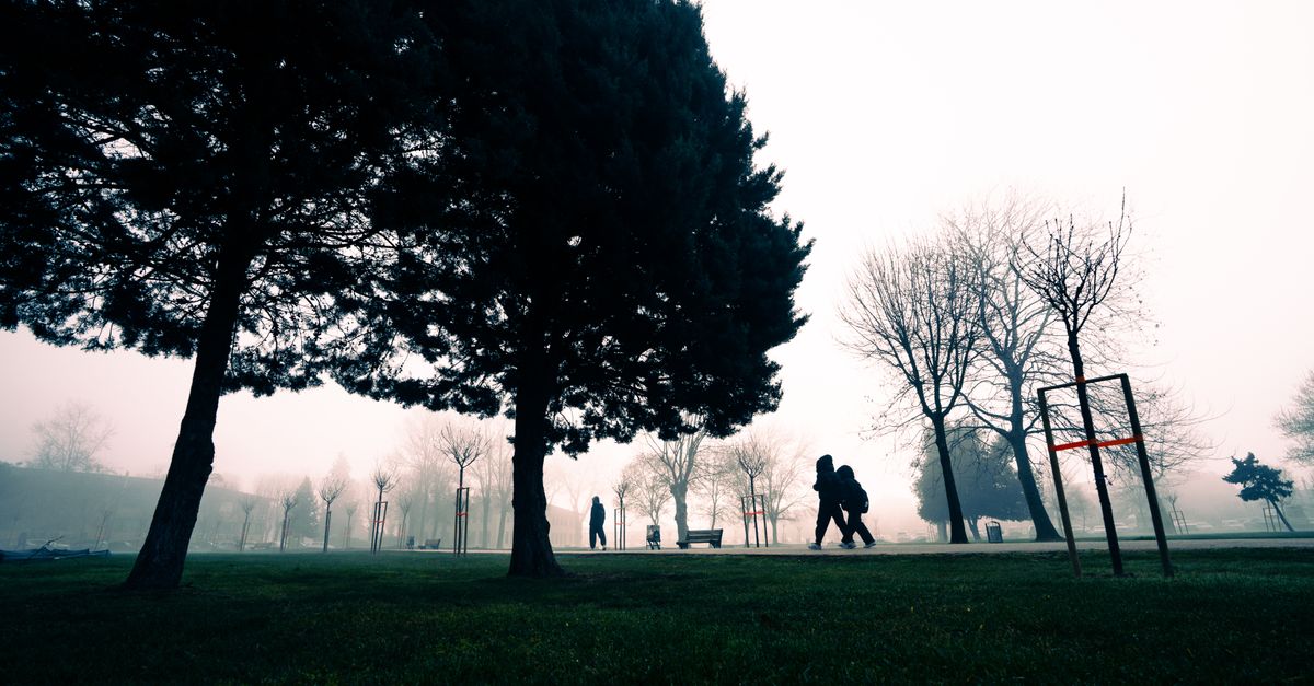 Cómo la Naturaleza Mejora Tu Bienestar Mental y Emocional