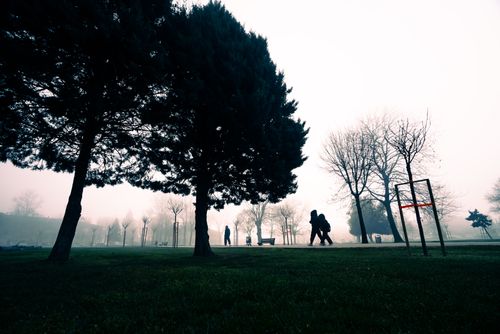 Free A foggy park scene with silhouetted trees and people walking, creating a serene atmosphere. Stock Photo