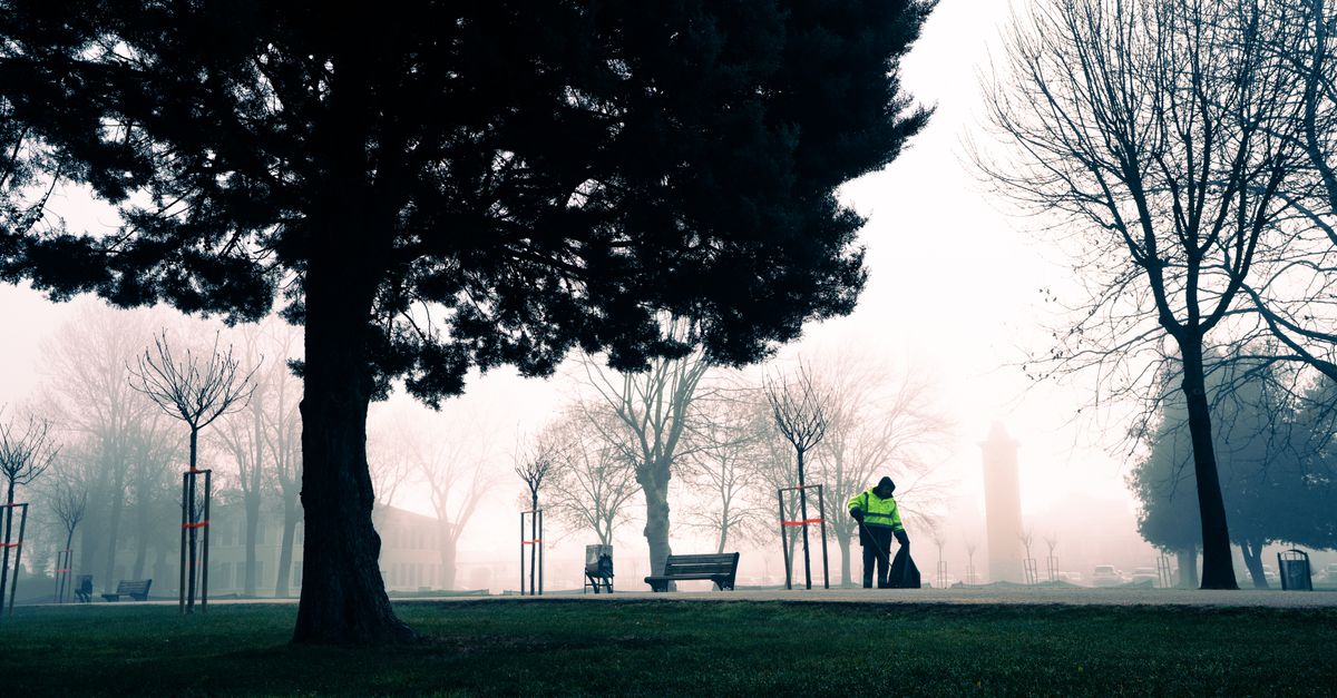 empty park bench quiet morning fog