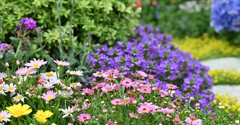 Fleurs Printemps : Top 15 Variétés à Planter 2026
