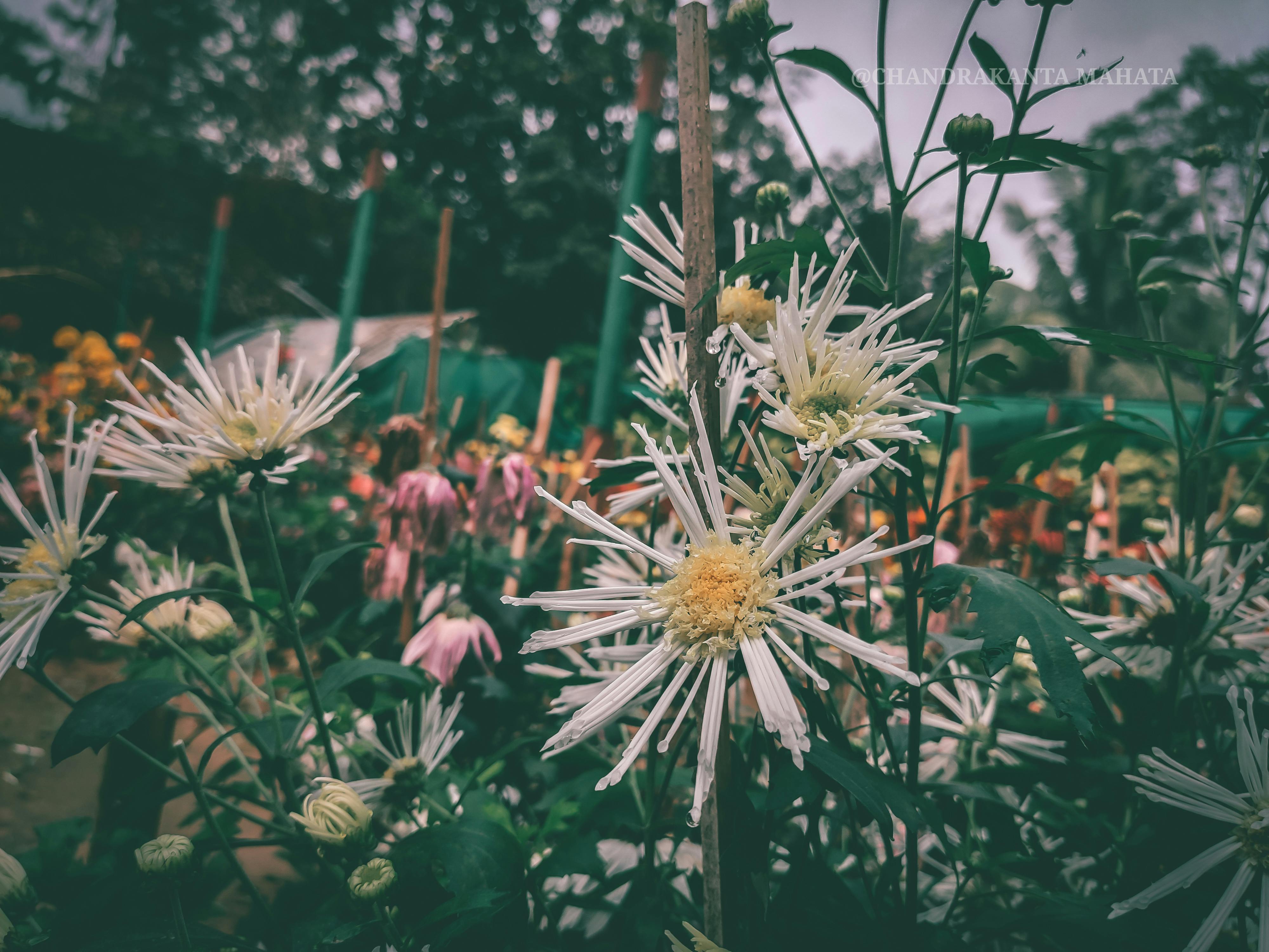 Ministers of Sound - Christian Worship Music Platform