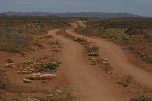 Free stock photo of country, desert, dirt road