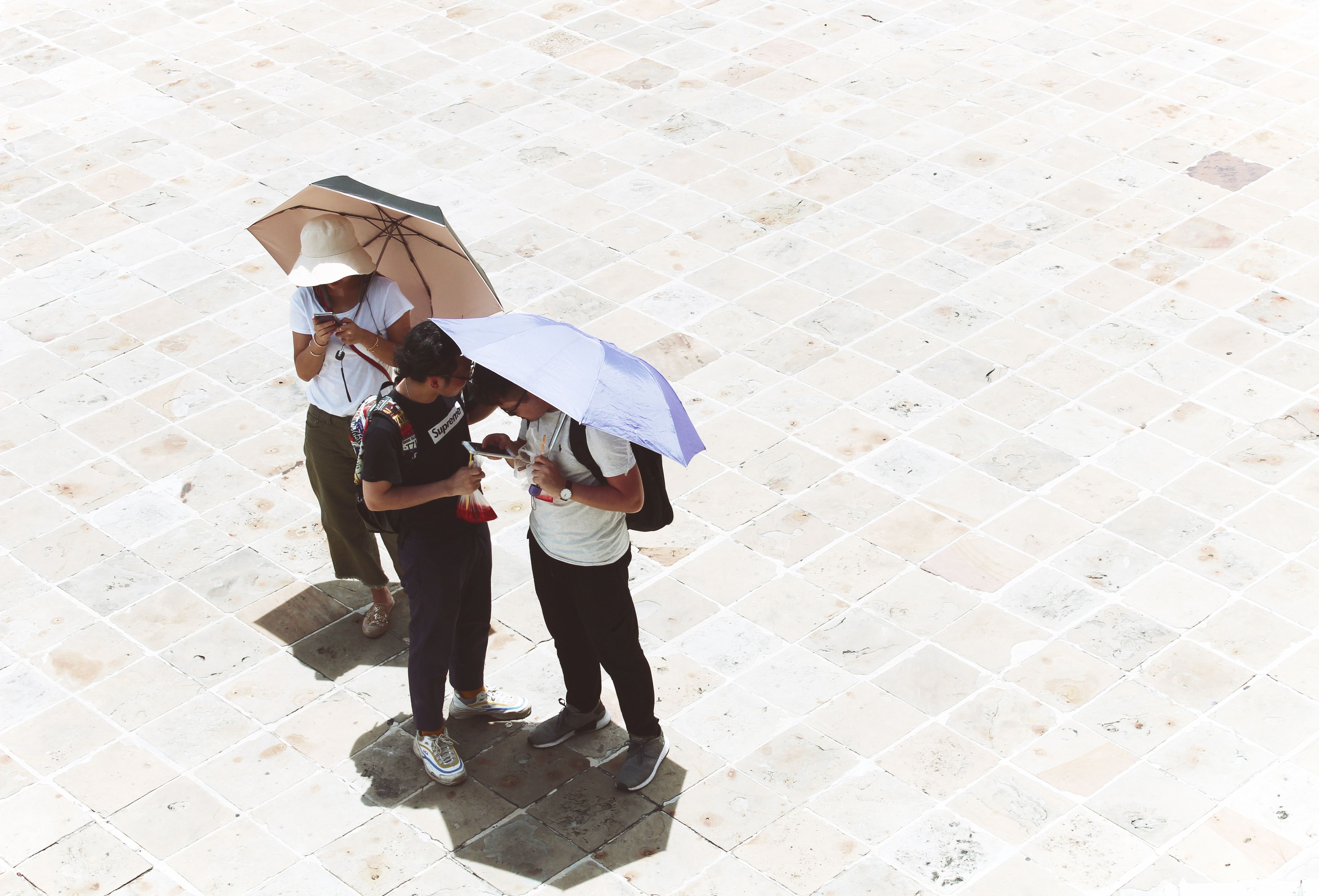 Tour guides embody lessons we can all apply in business - Travel Weekly — Photo by Alina Zhabynska on Pexels