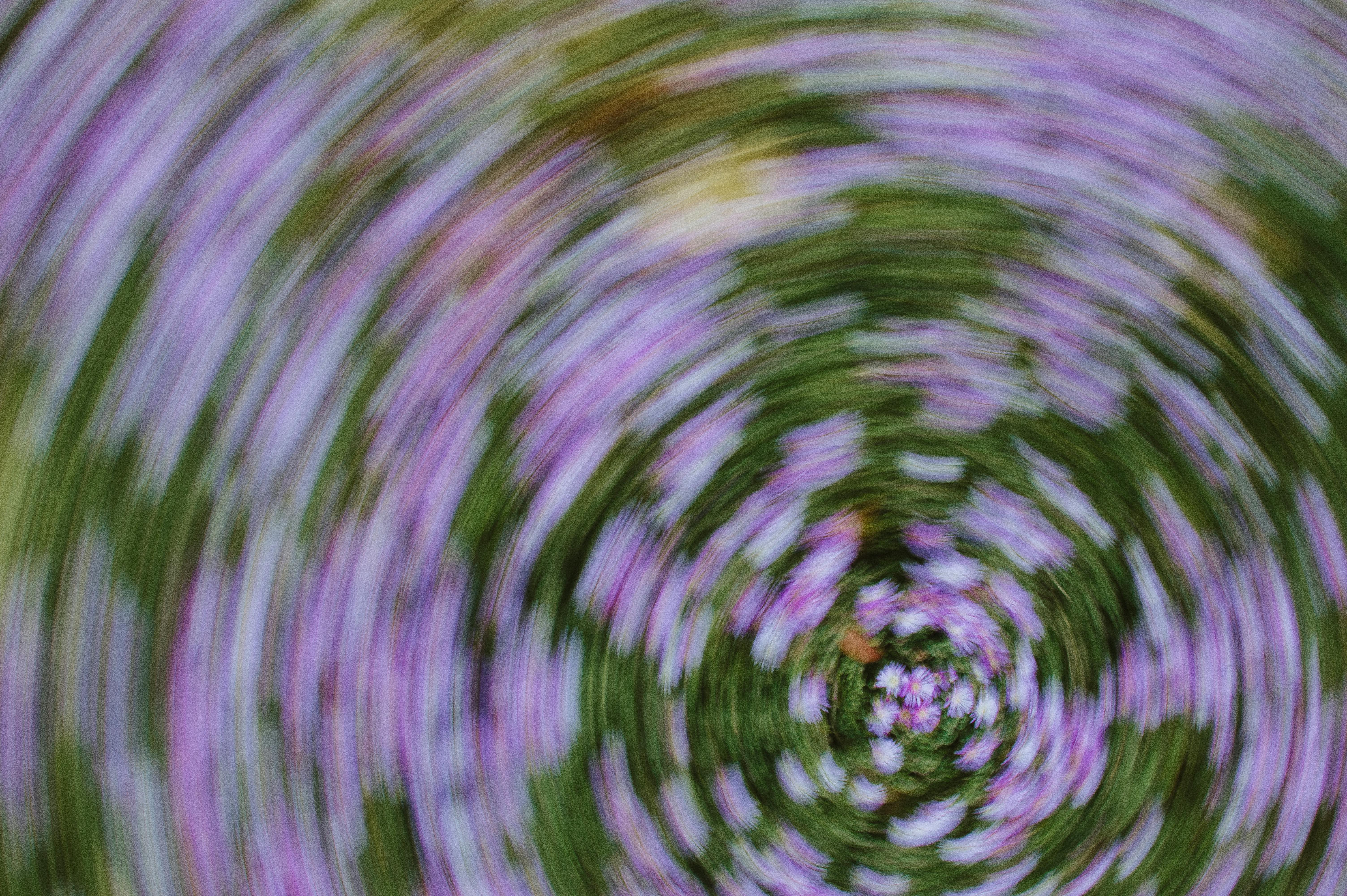 Circle Stock Plummets 10%: Analyst Downgrade and Drift Protocol Invest — cryptocurrency and blockchain — USD EUR — 2026