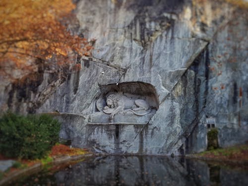 Fotobanka s bezplatnými fotkami na tému jeseň, lev, lev vyrytý do steny