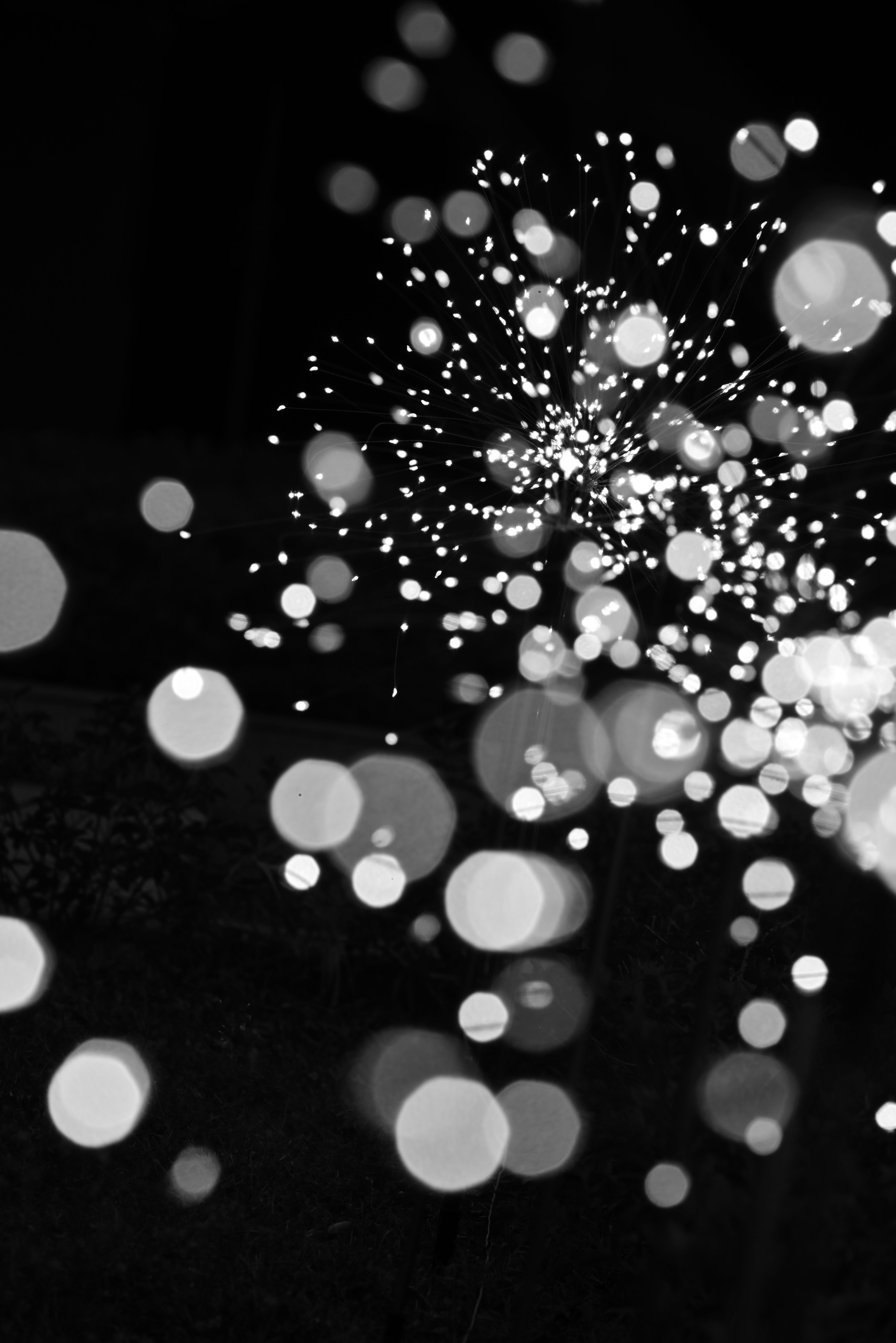 Artistic black and white bokeh light pattern creating an abstract effect.
