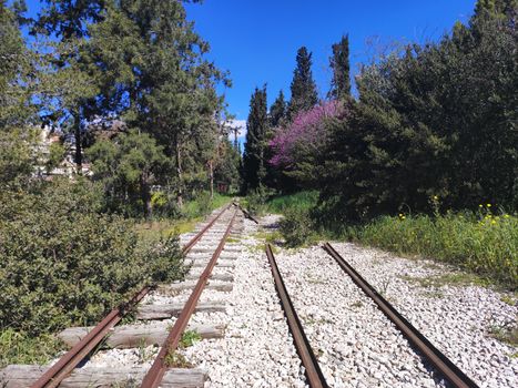 Old railway tracks surrounded by vibrant spring vegetation under a clear blue sky.