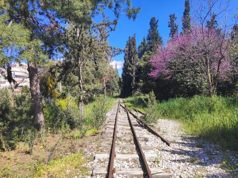 A scenic abandoned railway track surrounded by vibrant spring foliage and blooming trees under a bright blue sky.
