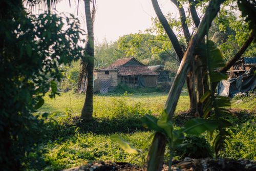 Free A rustic farmhouse surrounded by lush greenery and trees under a bright sky. Stock Photo