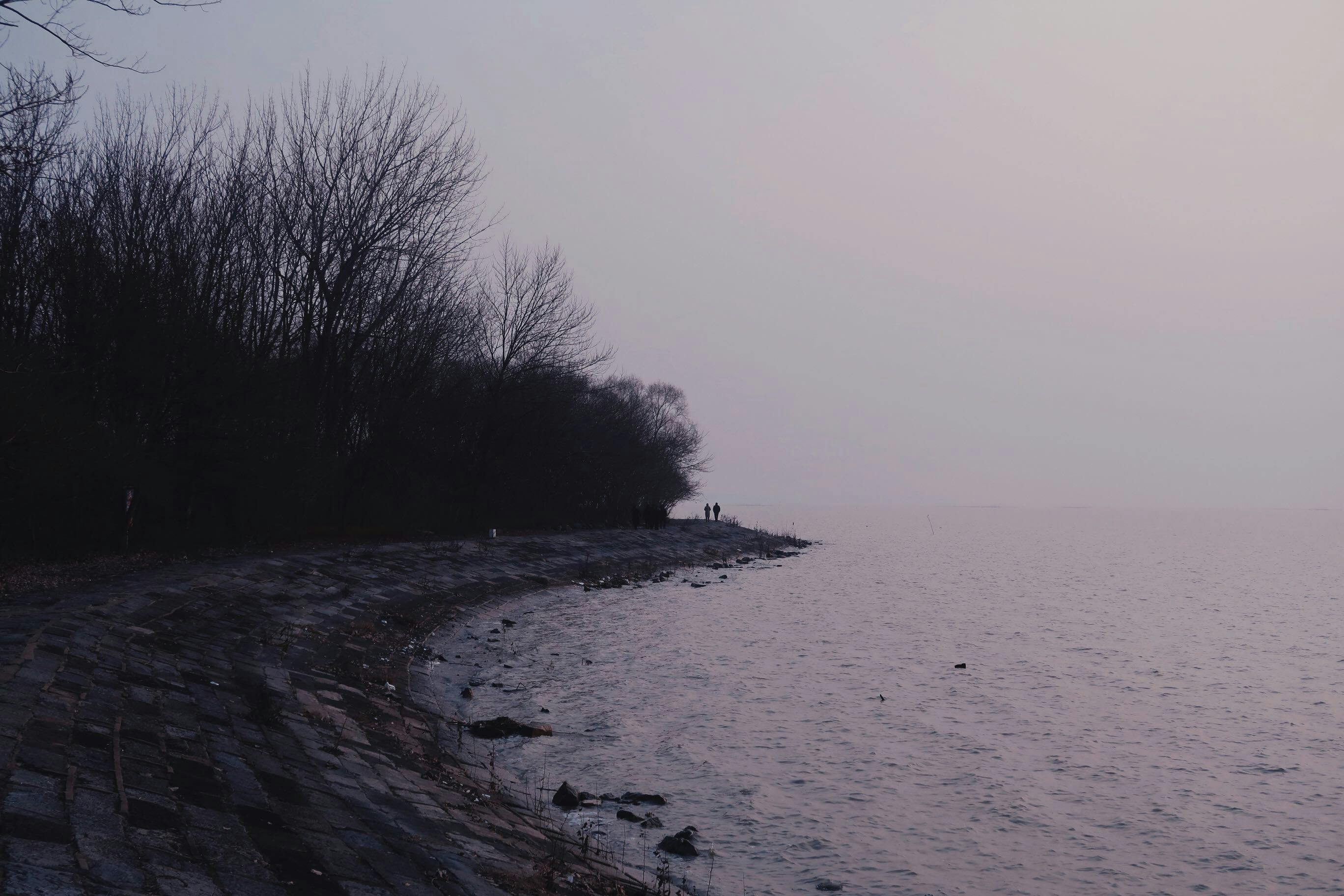 黄昏时分，薄雾笼罩着湖岸，光秃秃的树木映衬着忧郁的冬景