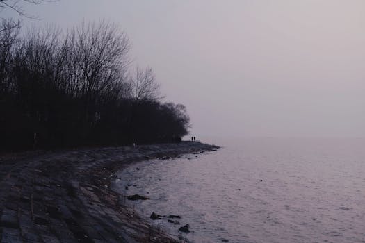 黄昏时分，薄雾笼罩着湖岸，光秃秃的树木映衬着忧郁的冬景