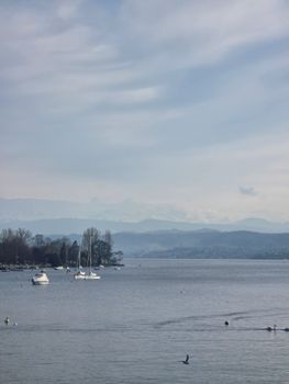 Tranquil view of sailboats on Lake Zurich against a backdrop of the distant Alps.