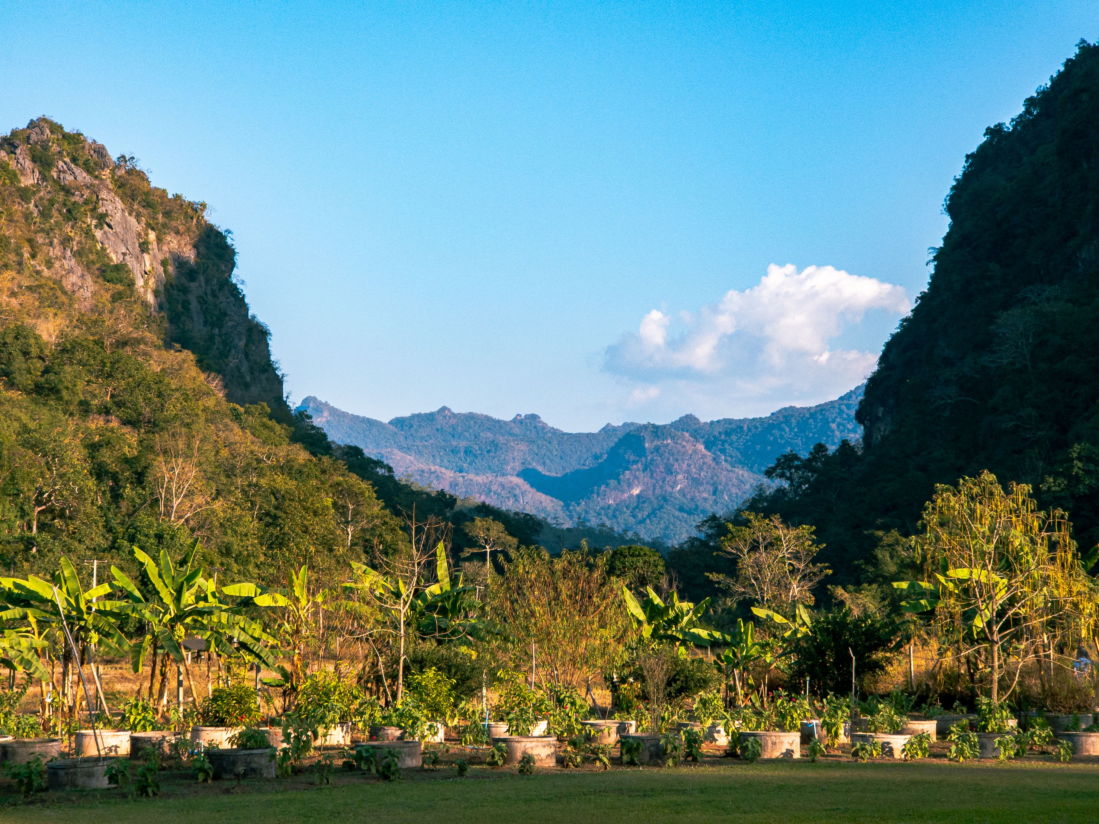 Lush Valley with Greenery and Mountain View · Free Stock Photo