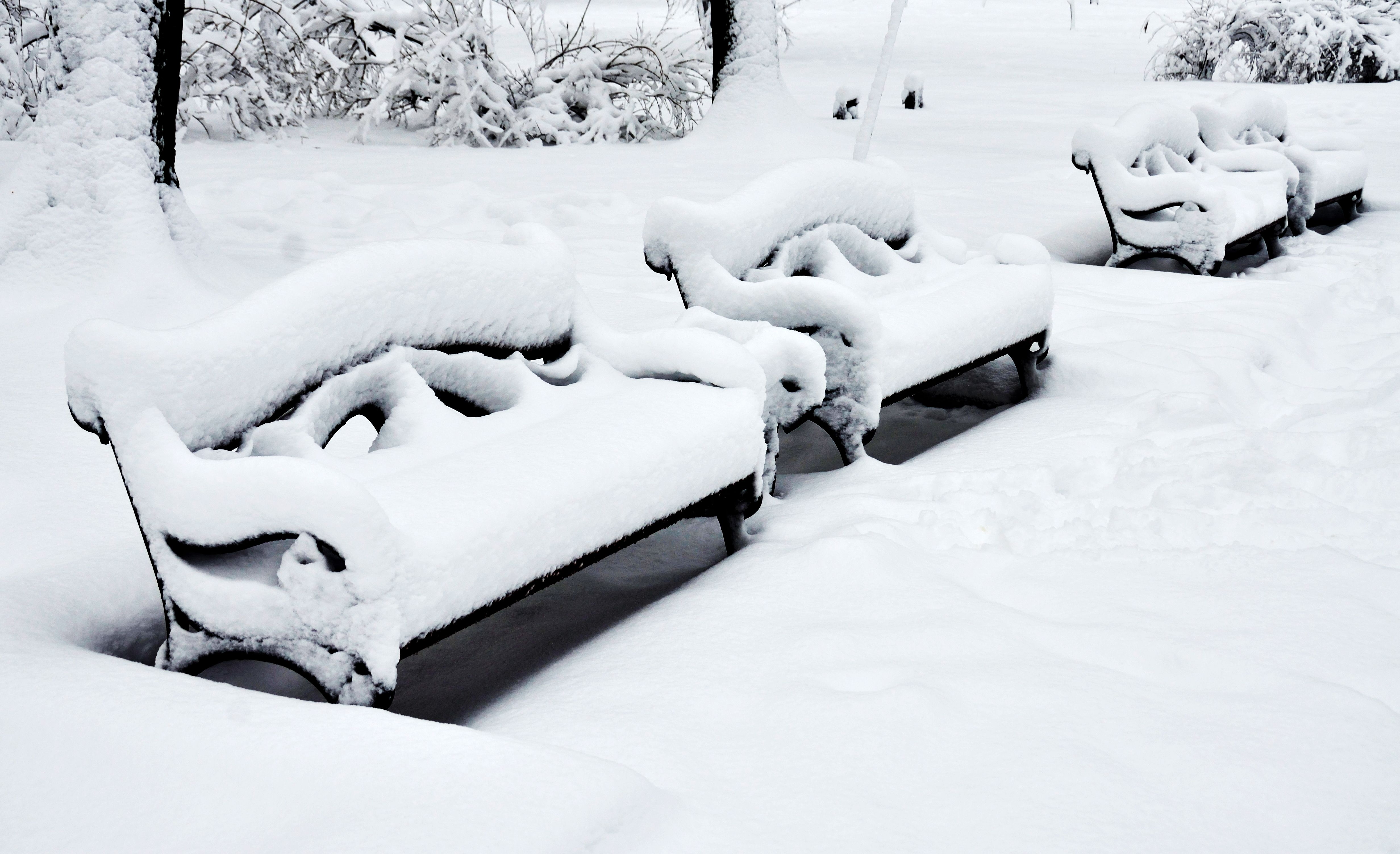Snow Covered Bench on Snow Covered Ground · Free Stock Photo