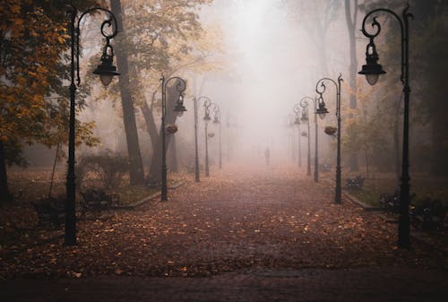Free People in Park Pathway on Foggy Weather Stock Photo