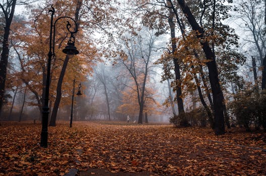 利沃夫公园秋景迷人，雾蒙蒙的，落叶与复古灯相映成趣