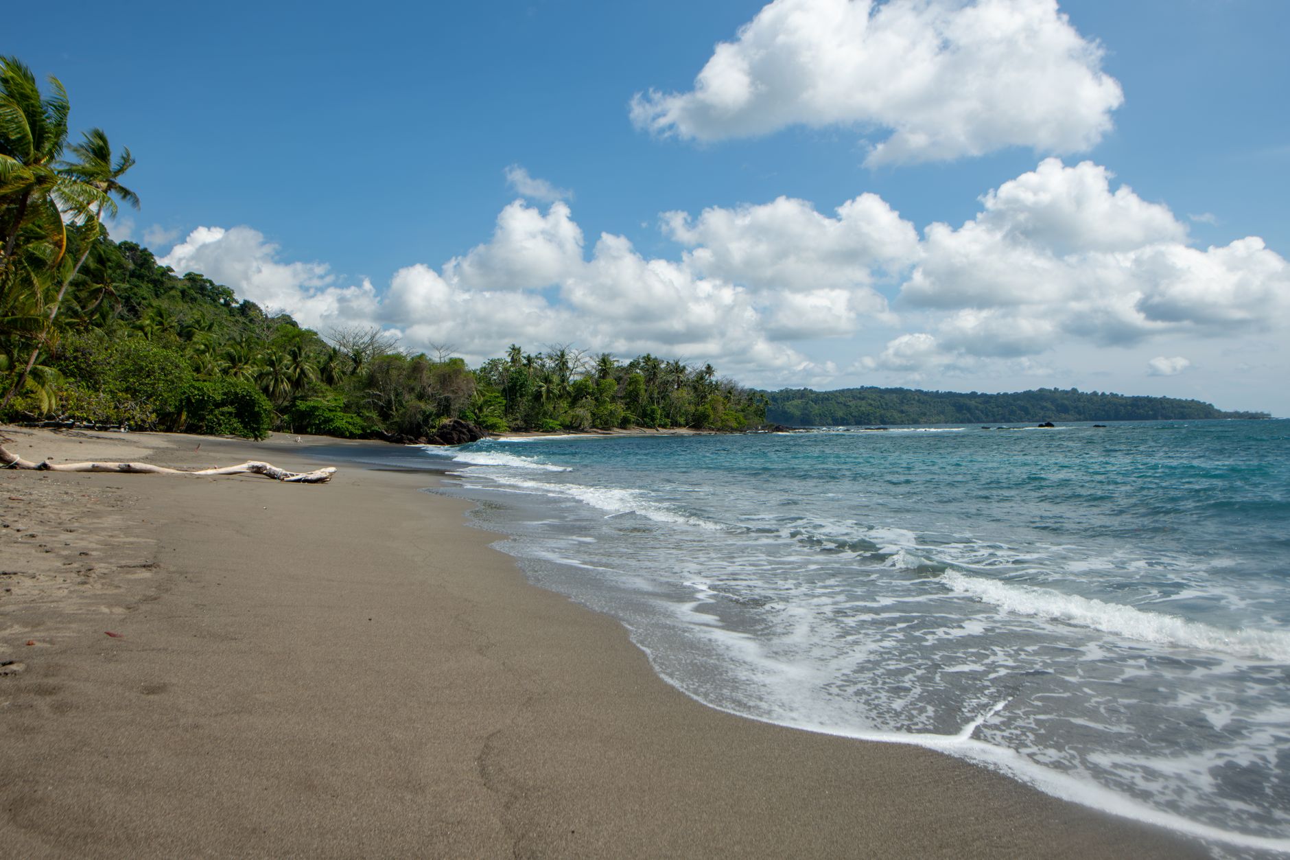 Discover a tranquil beach with lush greenery and clear skies in Costa Rica's paradise.