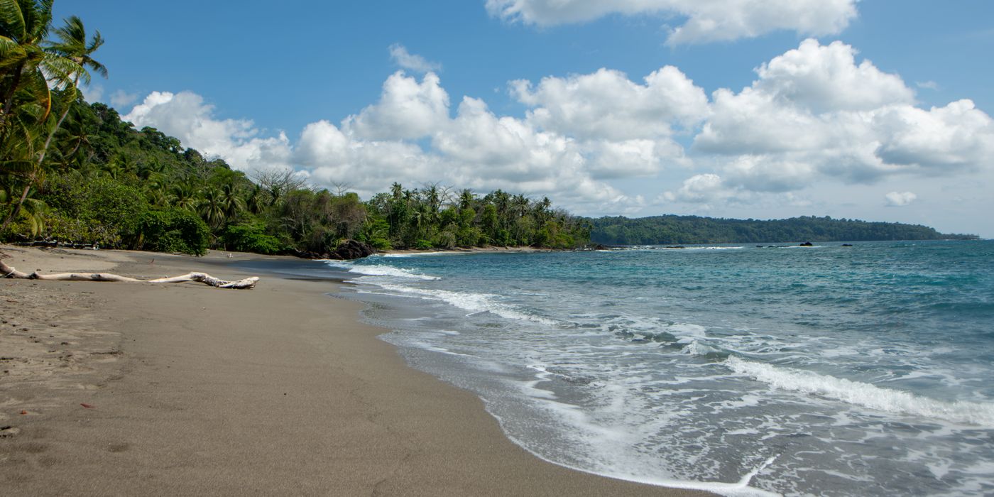 Tropical Caribbean beach with palm trees and clear water on the Costa Rican coast