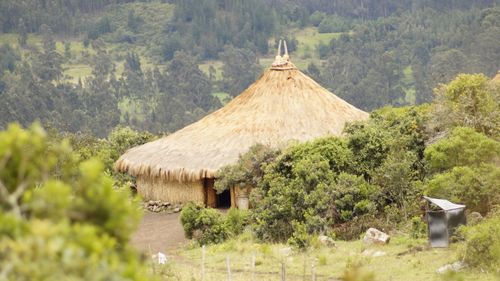 Free A rustic thatched-roof hut nestled in a lush green forest, showcasing traditional architecture. Stock Photo