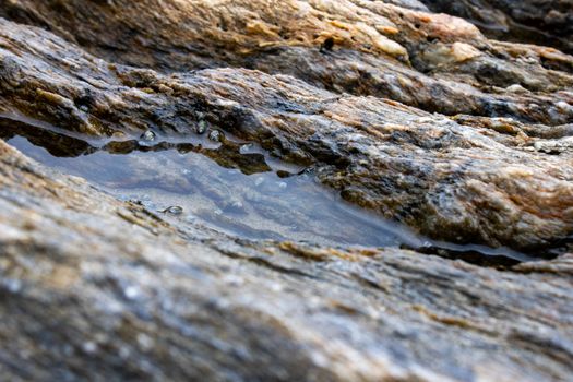 Detailed view of a tide pool nestled among rugged rocks in Penha, Santa Catarina.. pexels, detailed, view