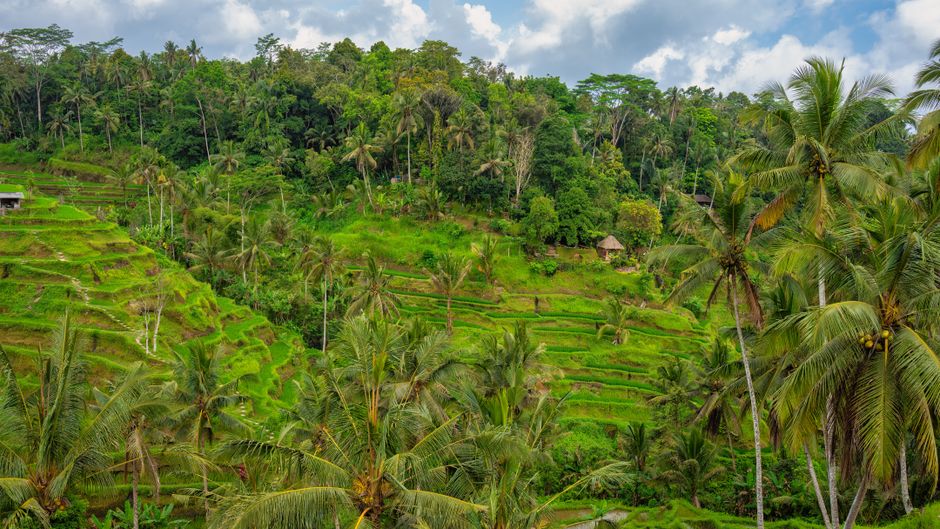 where is bali? unveiling indonesia’s tropical paradise location