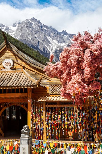 A charming scene of a wooden pavilion adorned with colorful tags and cherry blossoms against a backdrop of mountains in Lijiang, China.