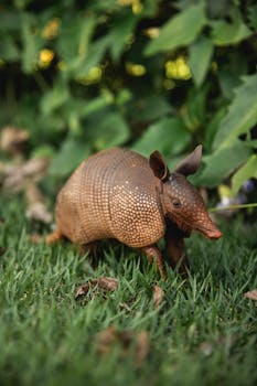 郁郁葱葱的绿色环境中，一幅犰狳的详细图像展示了它纹理丰富的外壳