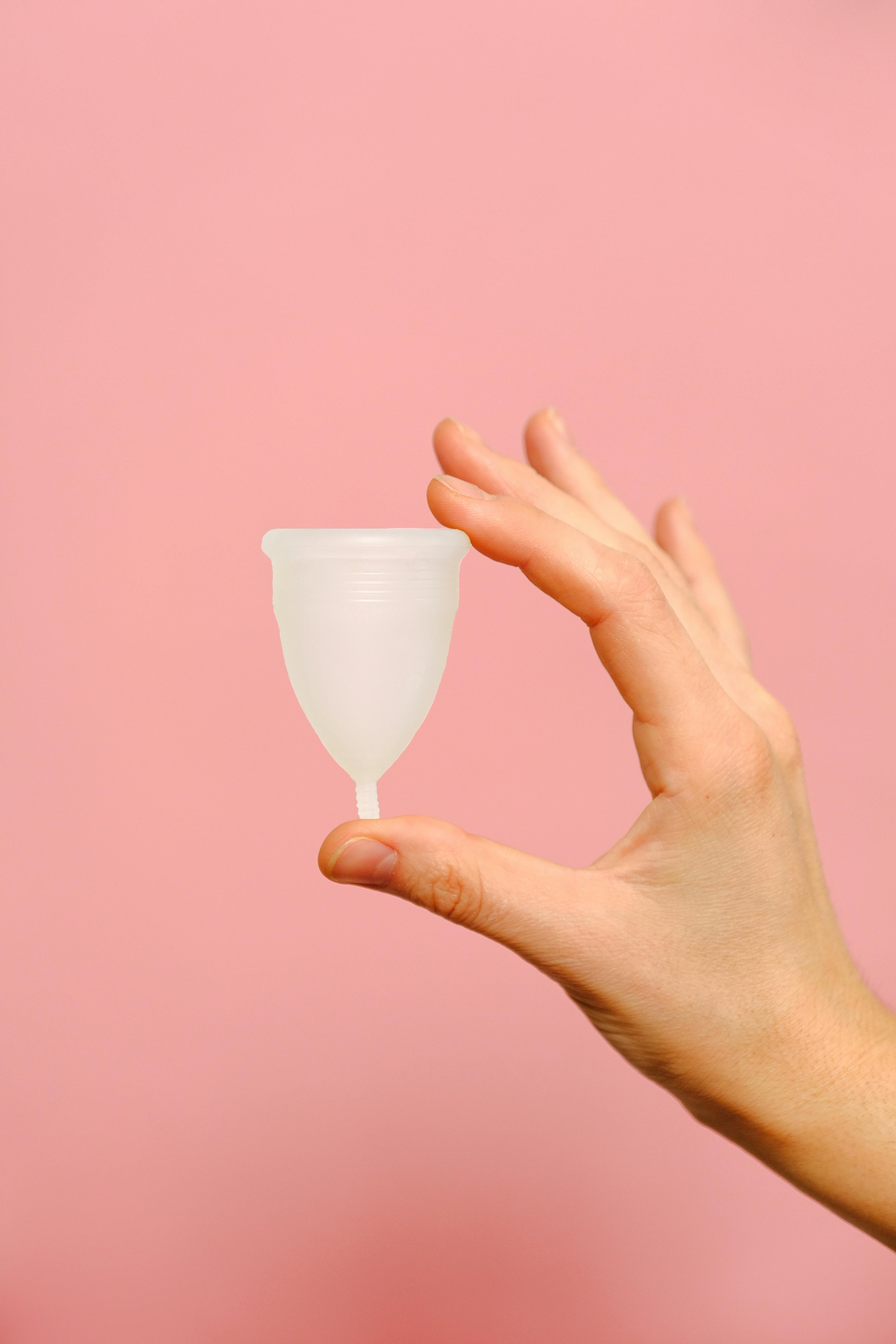 Person Holding White Menstrual Cup · Free Stock Photo