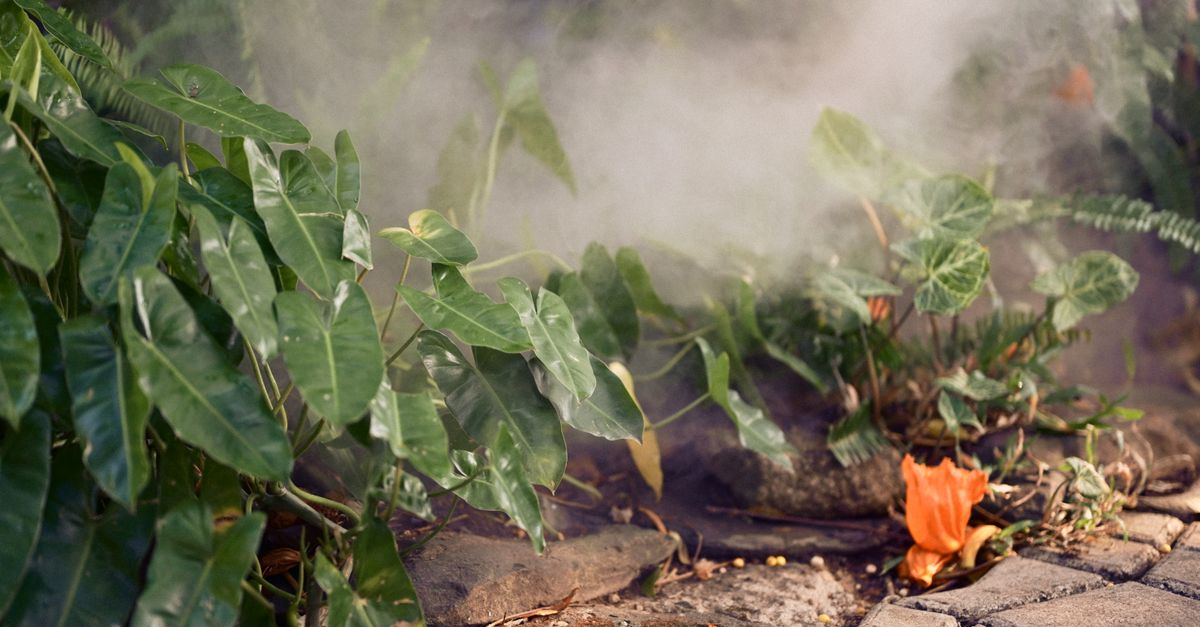 Piante Rare per il Giardino: Come Scegliere e Curare