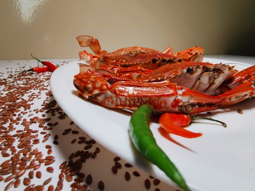 Free stock photo of bahraincrab, betta fish, blue swimming crabs
