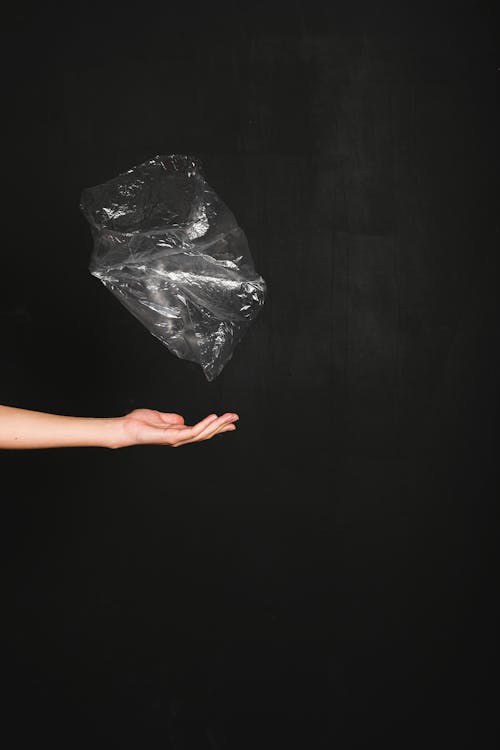Free Person Holding Black Plastic Bag Stock Photo