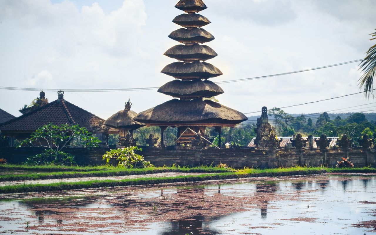 Lush green rice fields and temple, Indonesia